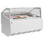 Comptoir glacier avec 12 plateaux inox (360x165)