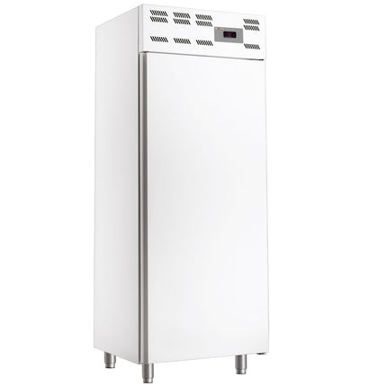 Armoire congélateur 20x EN 600x400, statique, (500 Lit.) - Skinplate blanc