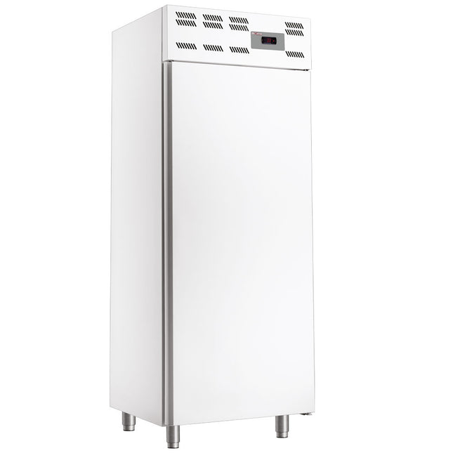 Freezer cabinet 20x EN 600x400, static, (500 Lit.) - Skinplate white