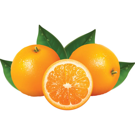 Citrus press with lever "orange"