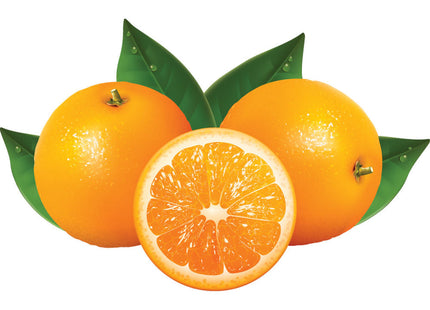 Citrus press with lever "chrome"
