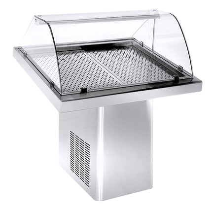 REFRIGERATED FISH DISPLAY 1.0